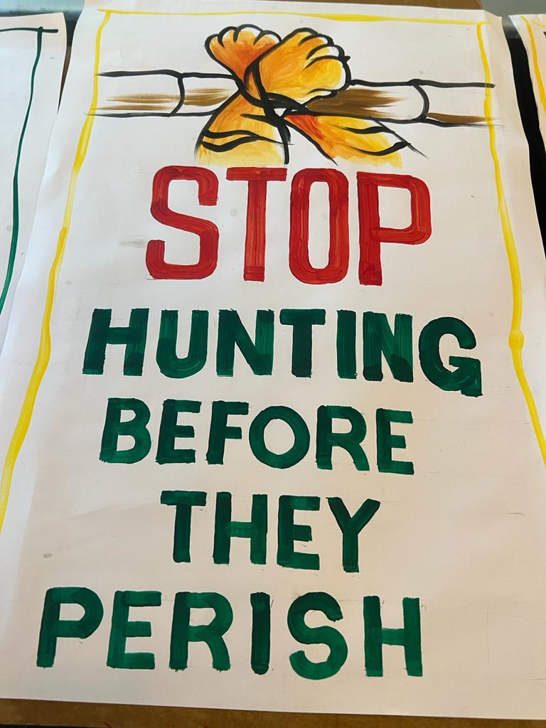 Field work gallery image 8